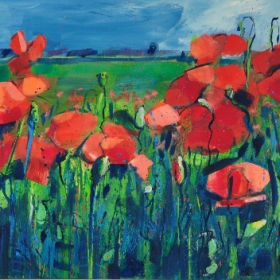 Pipacsok ( magántulajdon)